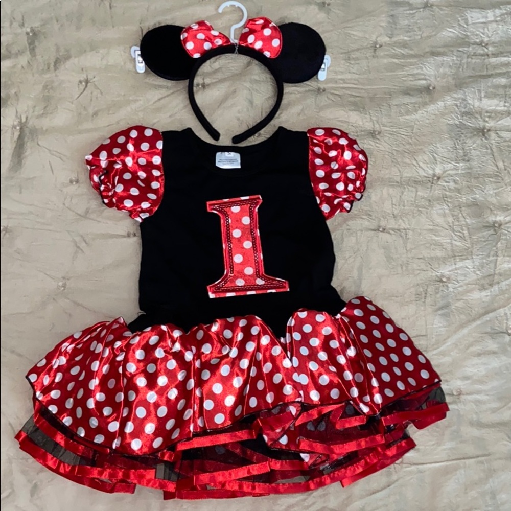 Mini Mouse First Birthday Tutu